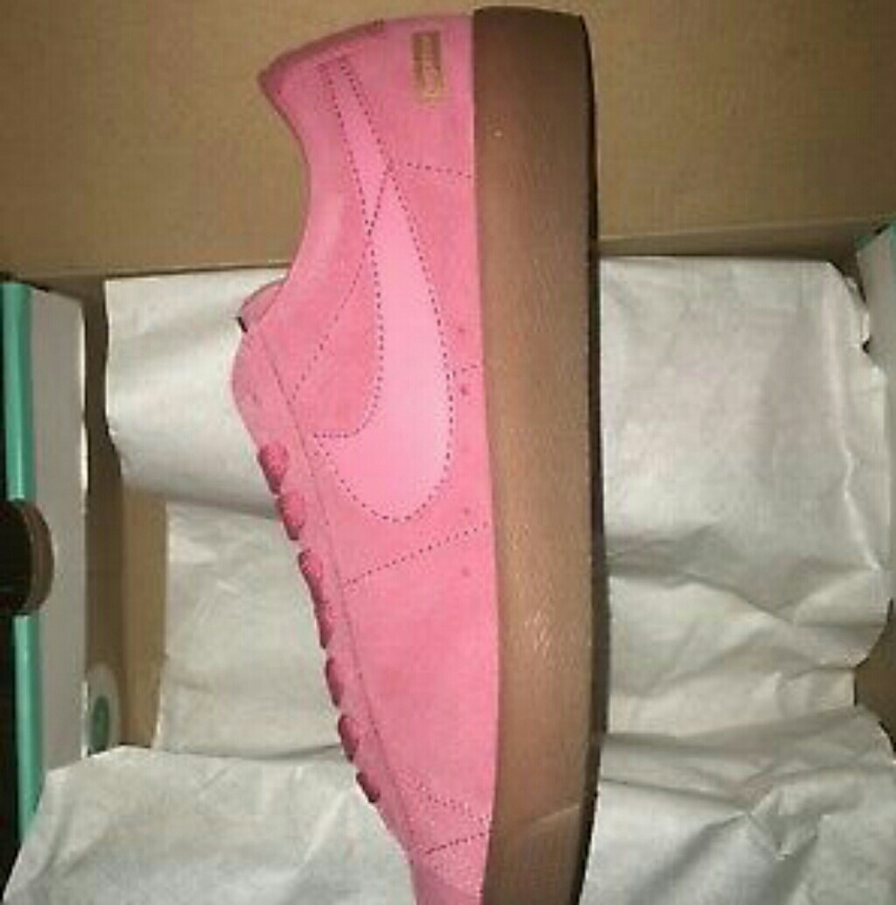 Supreme Nike sb blazer